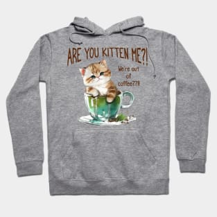 Are You Kitten Me, We're Out Of Coffee?!?! funny pun design Hoodie